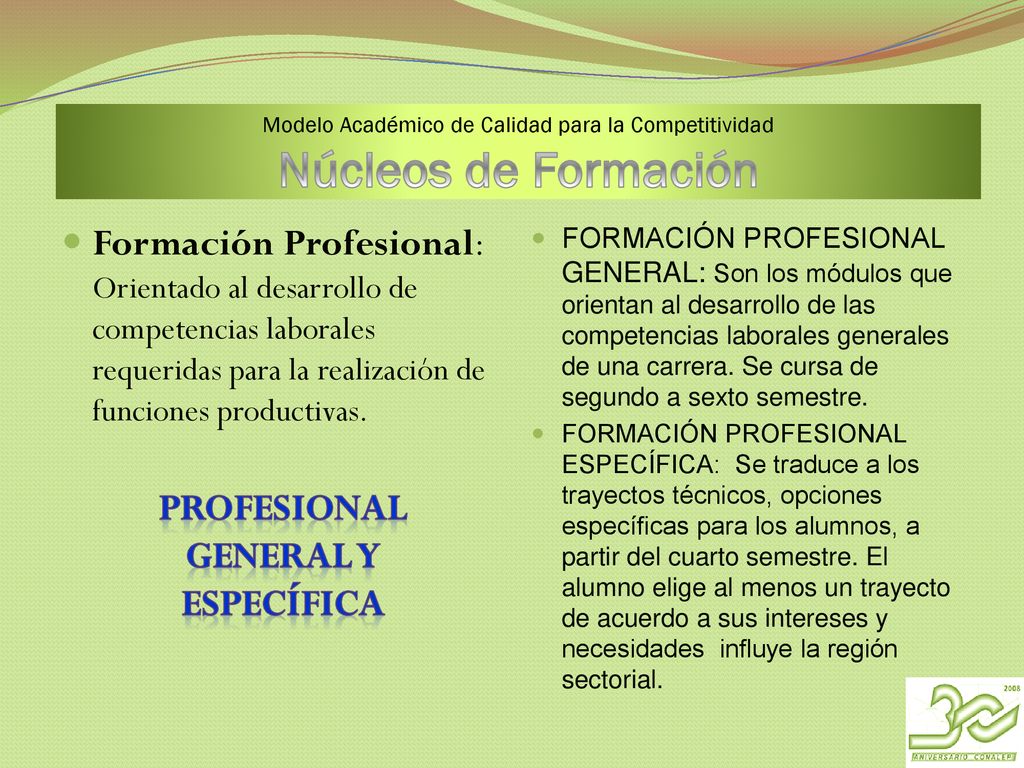 Modelo Académico de Calidad para la Competitividad Núcleos de Formación