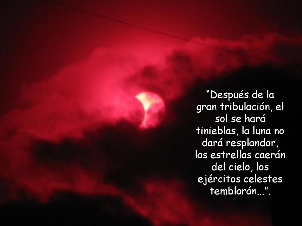 Después de la gran tribulación, el sol se hará tinieblas, la luna no dará resplandor, las estrellas caerán del cielo, los ejércitos celestes temblarán... .