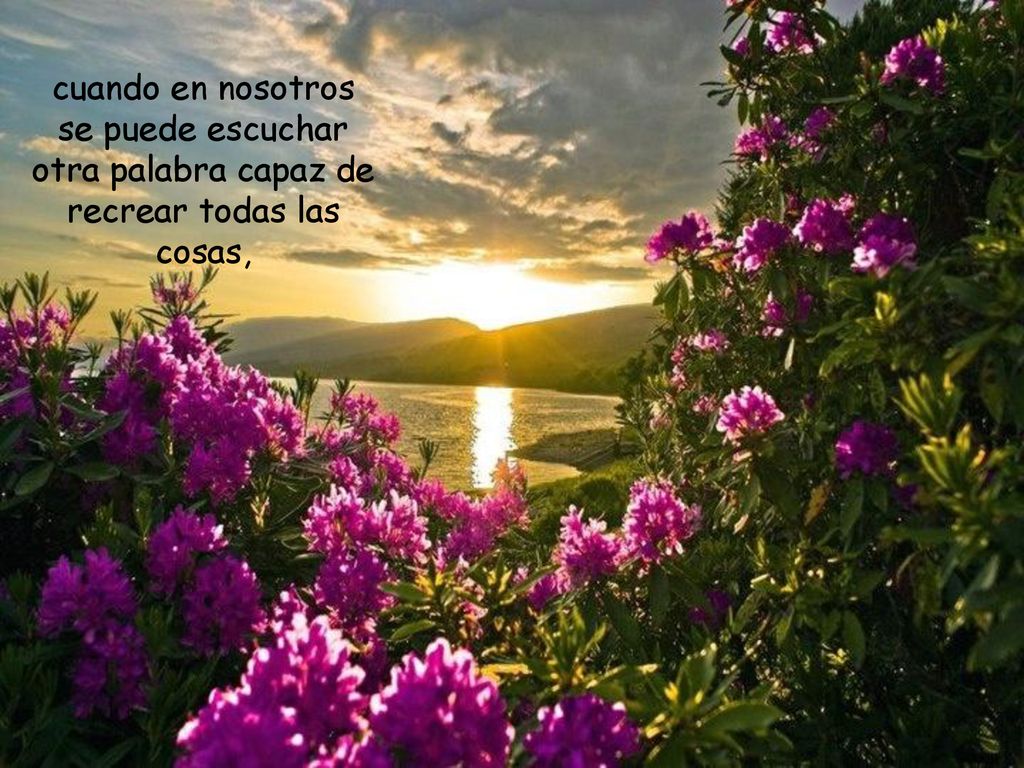 cuando en nosotros se puede escuchar otra palabra capaz de recrear todas las cosas,