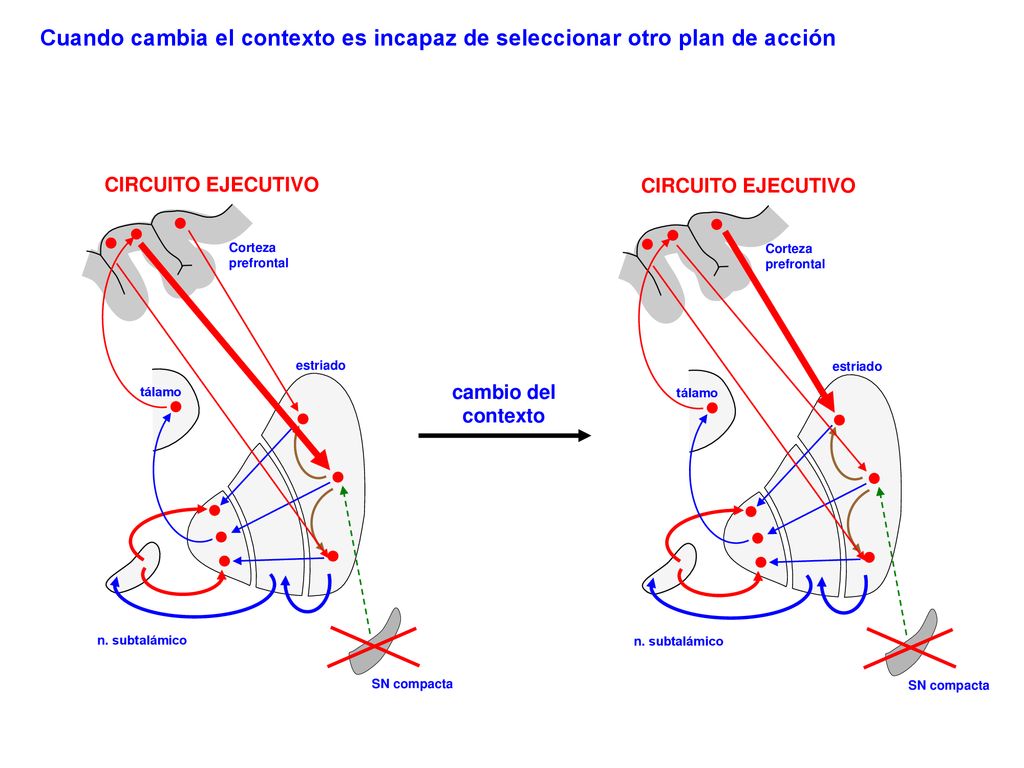 Cuando cambia el contexto es incapaz de seleccionar otro plan de acción