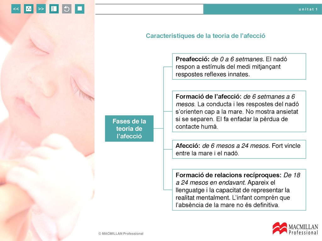 Característiques de la teoria de l’afecció