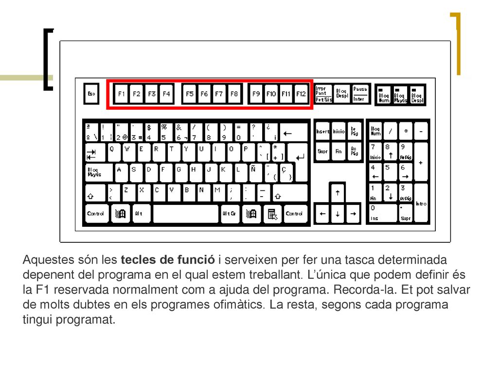 Aquestes són les tecles de funció i serveixen per fer una tasca determinada depenent del programa en el qual estem treballant.