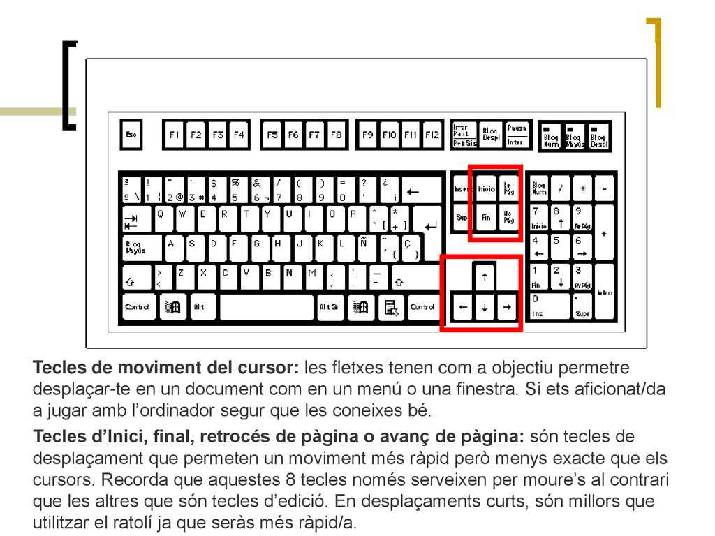 Tecles de moviment del cursor: les fletxes tenen com a objectiu permetre desplaçar-te en un document com en un menú o una finestra. Si ets aficionat/da a jugar amb l’ordinador segur que les coneixes bé.