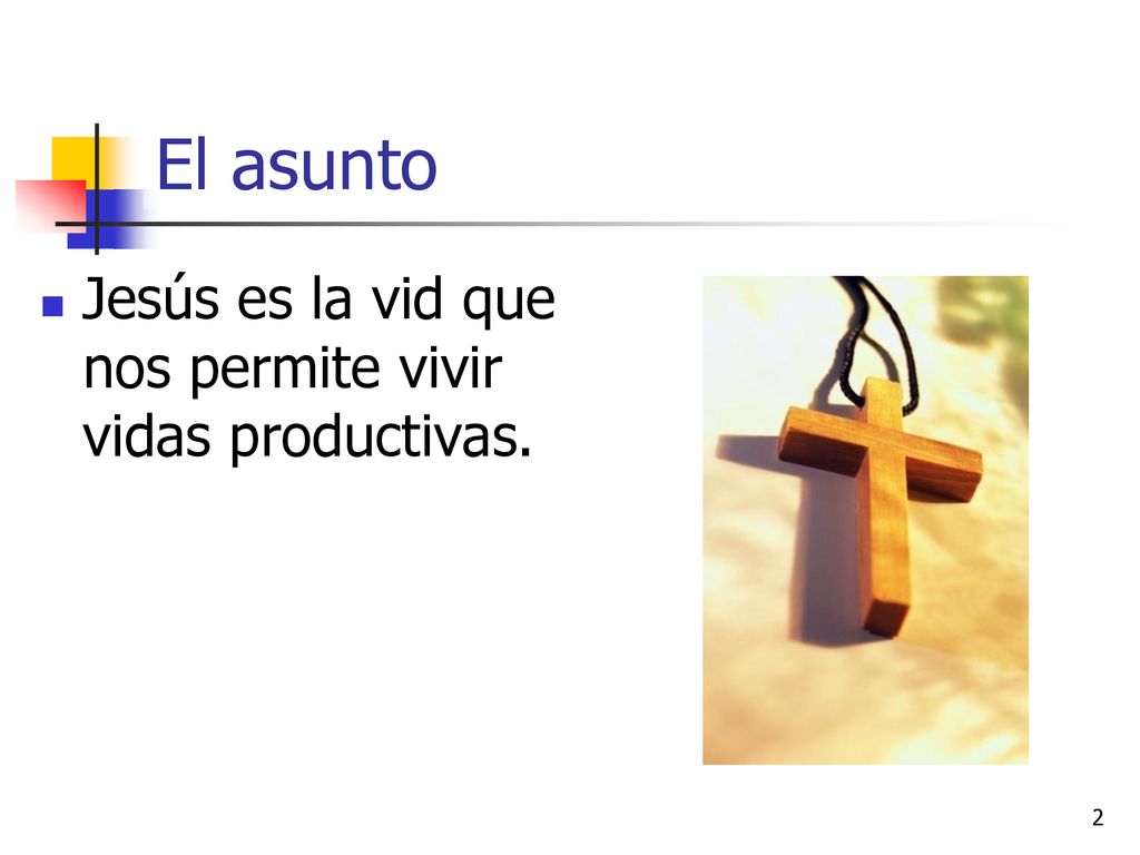 El asunto Jesús es la vid que nos permite vivir vidas productivas.
