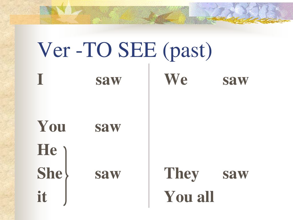Ver -TO SEE (past) I saw You saw He She saw it We saw They saw You all