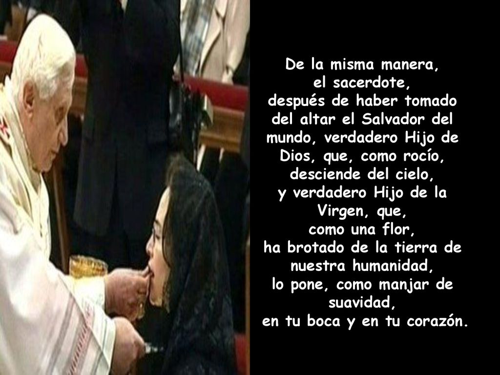 y verdadero Hijo de la Virgen, que, como una flor,