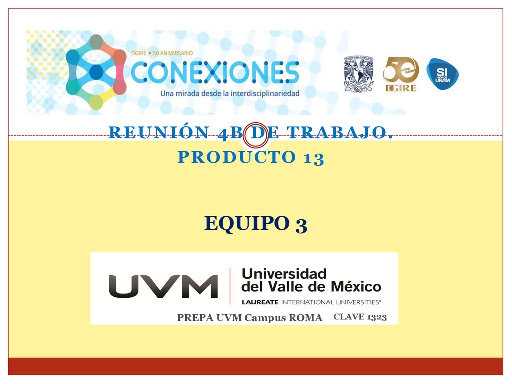 REUNIÓN 4B DE TRABAJO. PRODUCTO 13