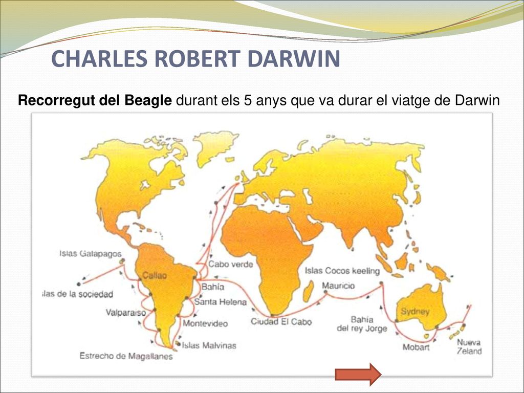 CHARLES ROBERT DARWIN Recorregut del Beagle durant els 5 anys que va durar el viatge de Darwin
