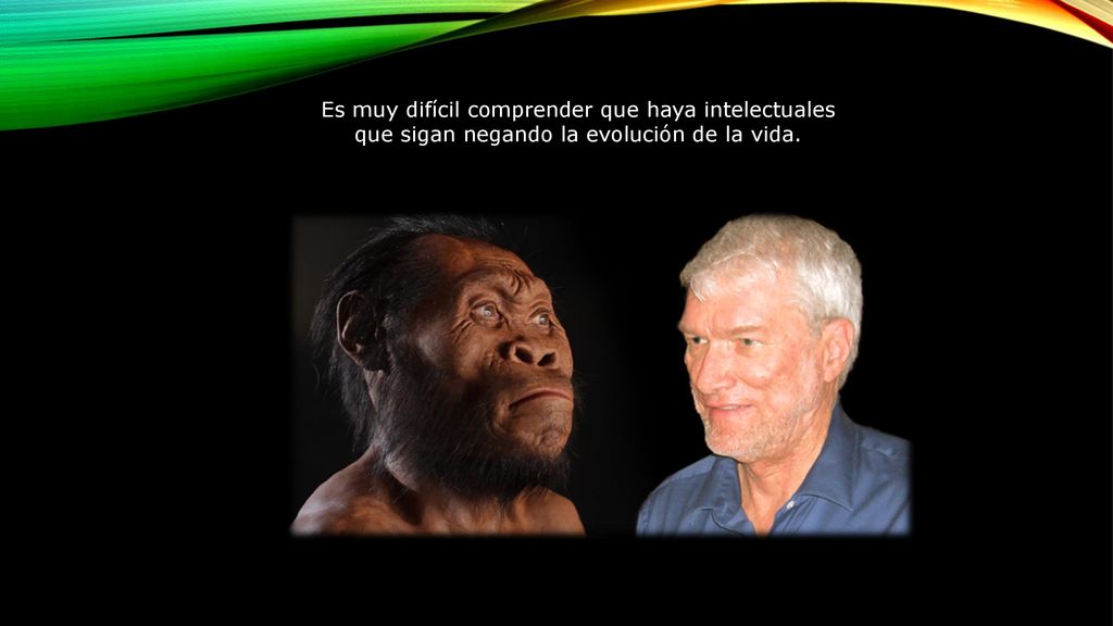 Es muy difícil comprender que haya intelectuales que sigan negando la evolución de la vida.