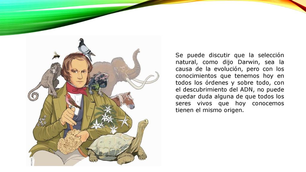 Se puede discutir que la selección natural, como dijo Darwin, sea la causa de la evolución, pero con los conocimientos que tenemos hoy en todos los órdenes y sobre todo, con el descubrimiento del ADN, no puede quedar duda alguna de que todos los seres vivos que hoy conocemos tienen el mismo origen.