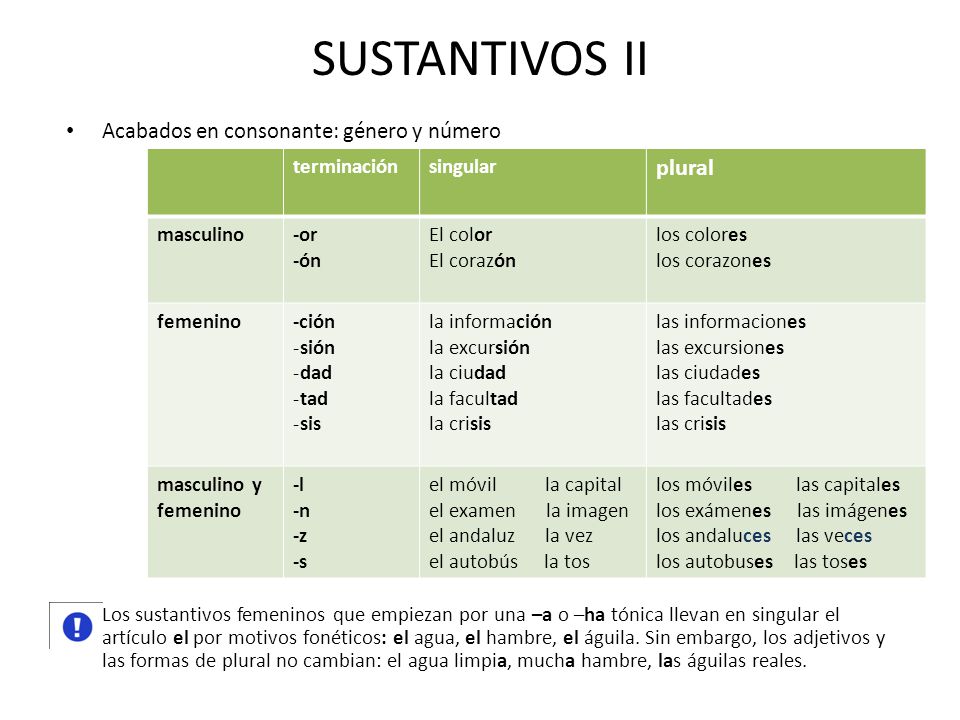 SUSTANTIVOS II plural Acabados en consonante: género y número
