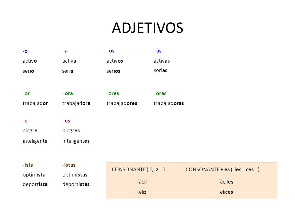 ADJETIVOS -as -o -a -os activo activa activos activas serio seria