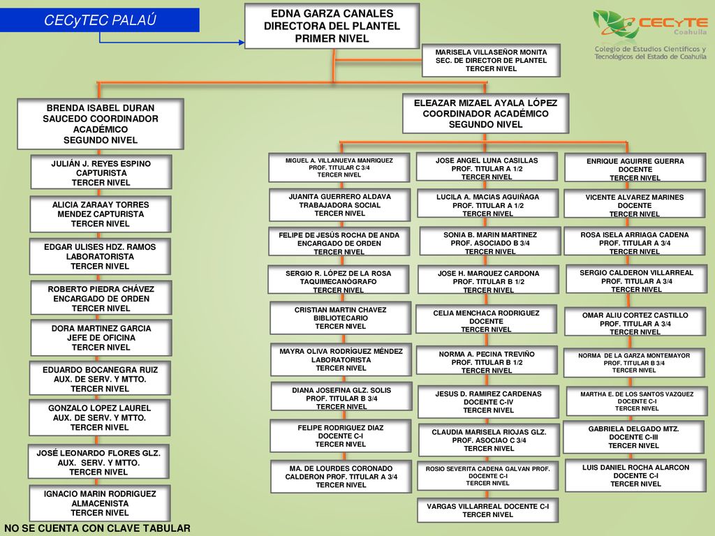 CECyTEC PALAÚ EDNA GARZA CANALES DIRECTORA DEL PLANTEL PRIMER NIVEL