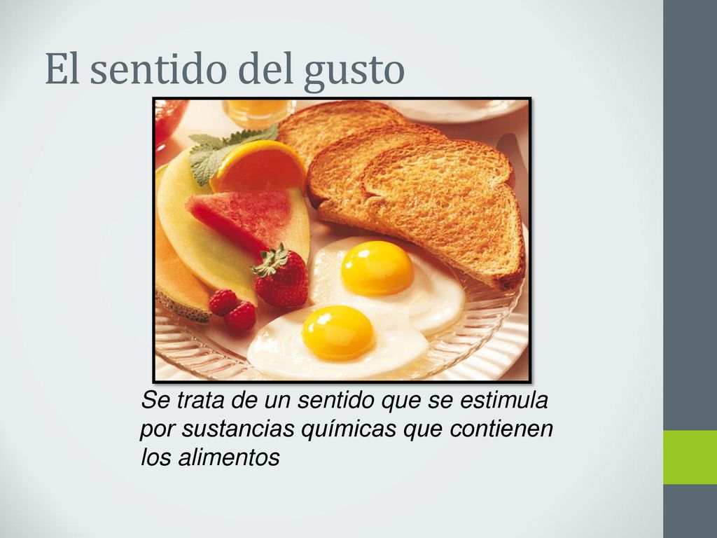 El sentido del gusto Se trata de un sentido que se estimula por sustancias químicas que contienen los alimentos.