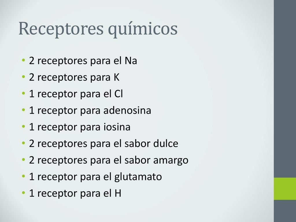 Receptores químicos 2 receptores para el Na 2 receptores para K