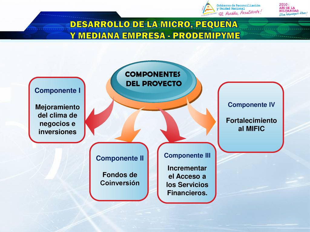 DESARROLLO DE LA MICRO, PEQUEÑA Y MEDIANA EMPRESA - PRODEMIPYME