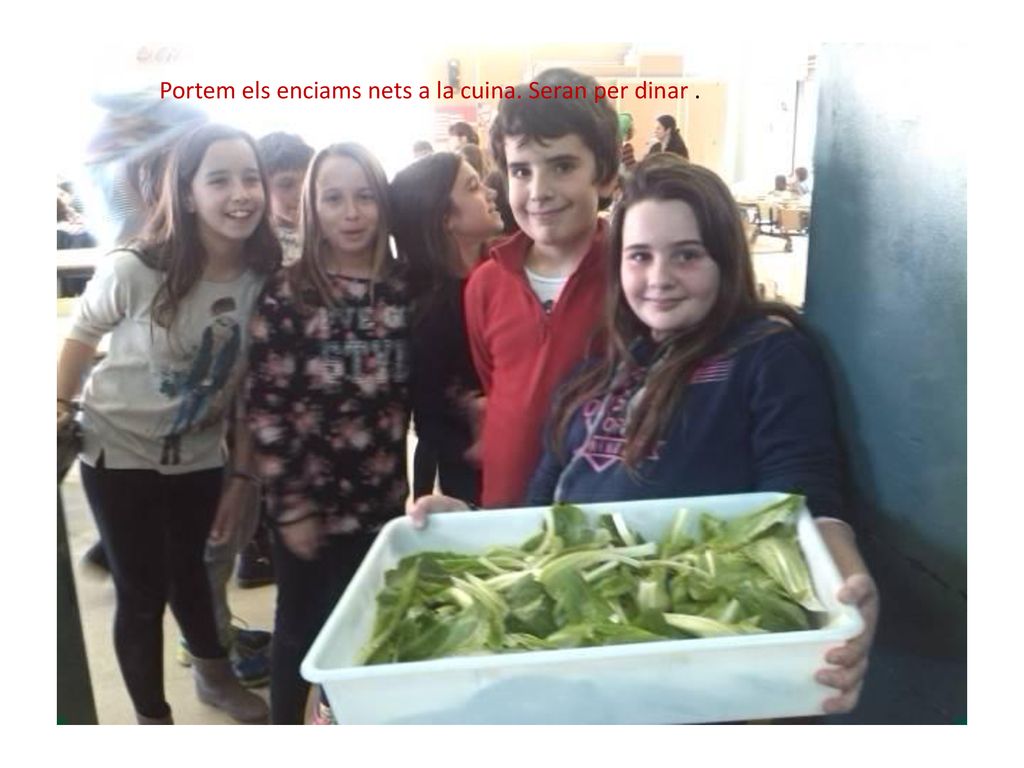 Portem els enciams nets a la cuina. Seran per dinar .