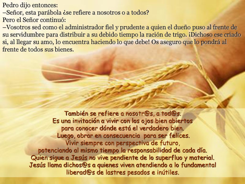 Quien sigue a Jesús no vive pendiente de lo superfluo y material.