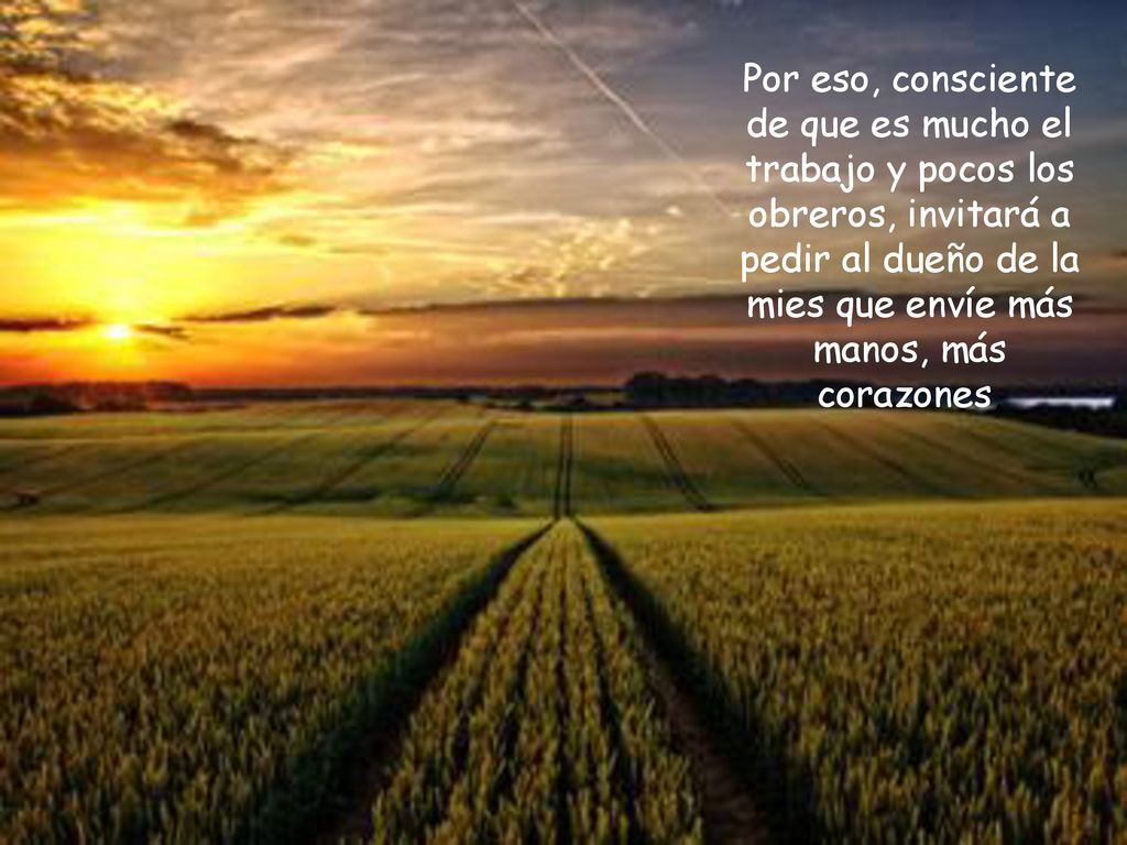 Por eso, consciente de que es mucho el trabajo y pocos los obreros, invitará a pedir al dueño de la mies que envíe más manos, más corazones,