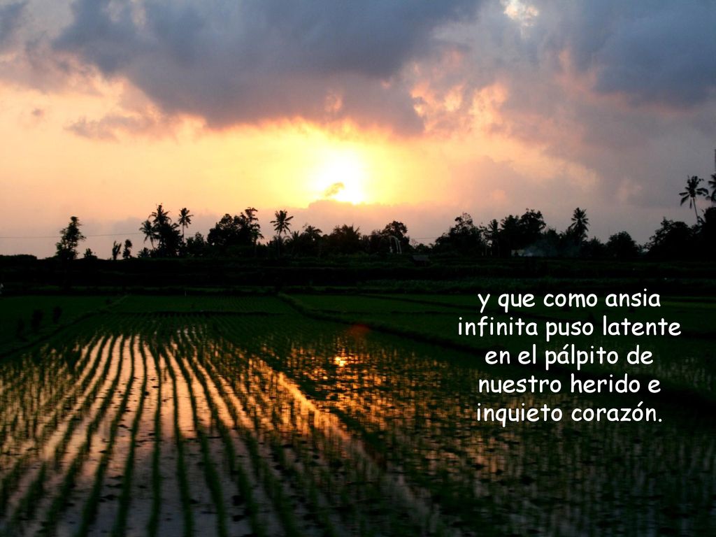 y que como ansia infinita puso latente en el pálpito de nuestro herido e inquieto corazón.