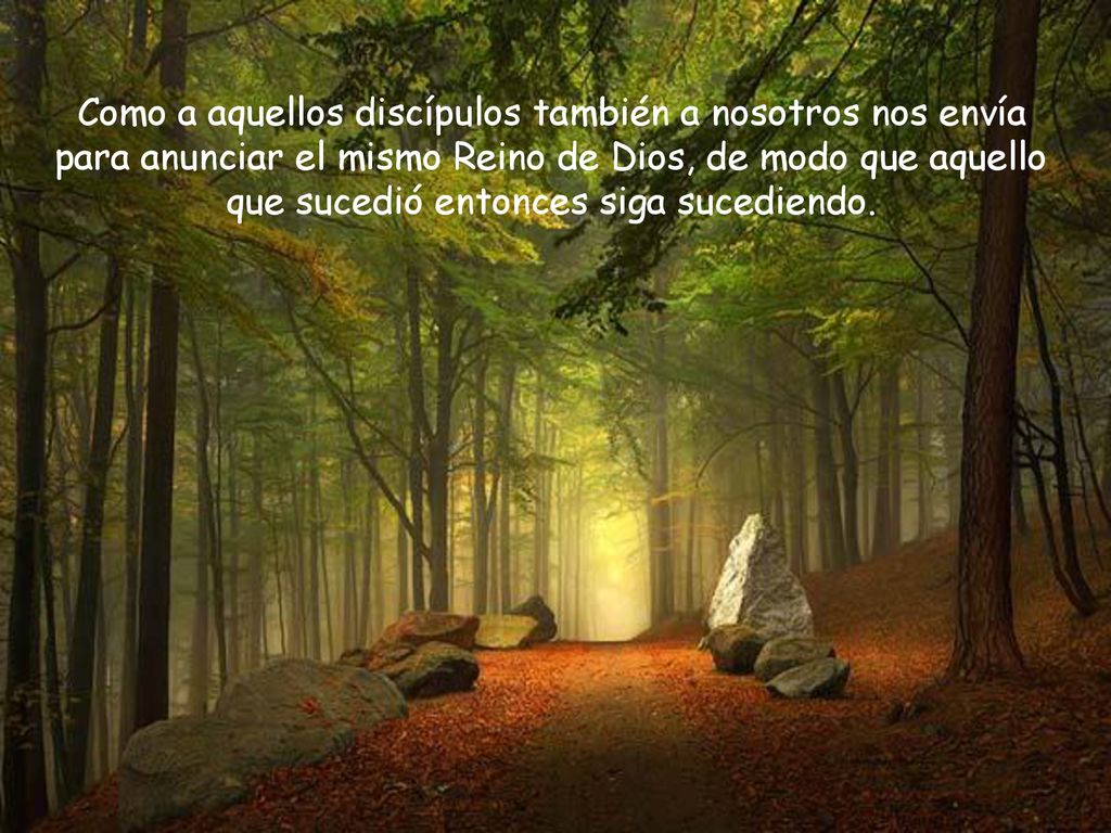 Como a aquellos discípulos también a nosotros nos envía para anunciar el mismo Reino de Dios, de modo que aquello que sucedió entonces siga sucediendo.