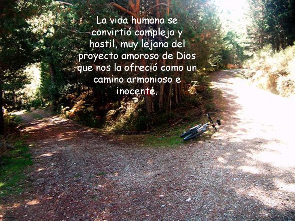 La vida humana se convirtió compleja y hostil, muy lejana del proyecto amoroso de Dios que nos la ofreció como un camino armonioso e inocente.