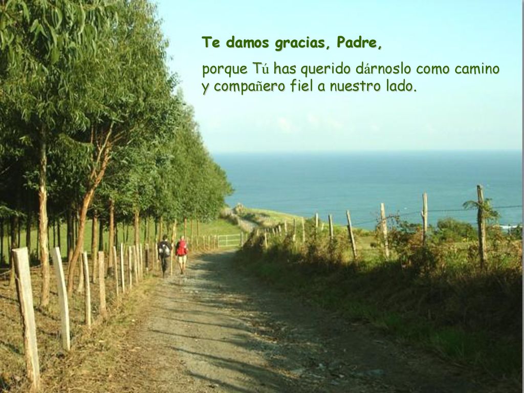 Te damos gracias, Padre, porque Tú has querido dárnoslo como camino y compañero fiel a nuestro lado.