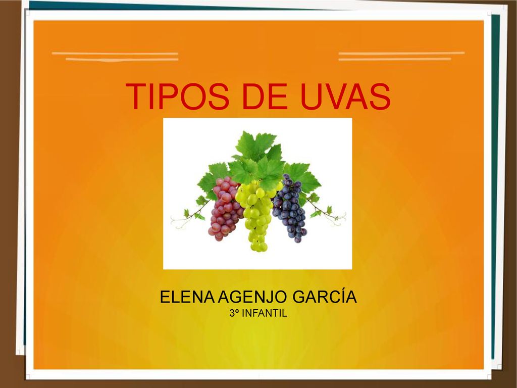 TIPOS DE UVAS ELENA AGENJO GARCÍA 3º INFANTIL