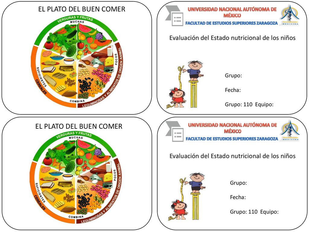 EL PLATO DEL BUEN COMER EL PLATO DEL BUEN COMER