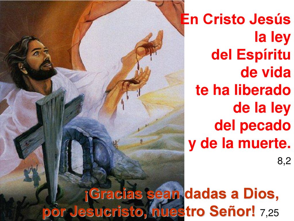 ¡Gracias sean dadas a Dios, por Jesucristo, nuestro Señor! 7,25