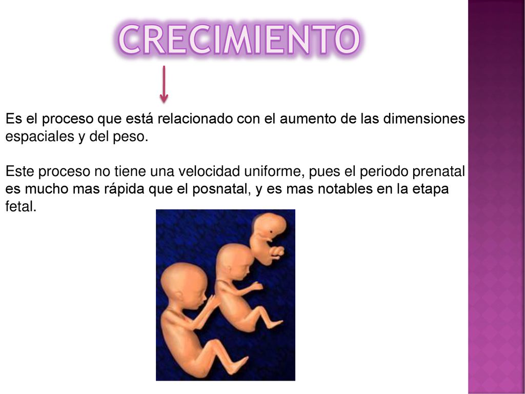CRECIMIENTO Es el proceso que está relacionado con el aumento de las dimensiones espaciales y del peso.