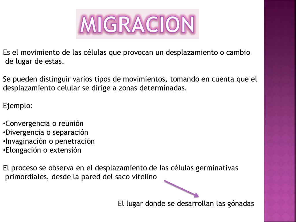 MIGRACION Es el movimiento de las células que provocan un desplazamiento o cambio. de lugar de estas.