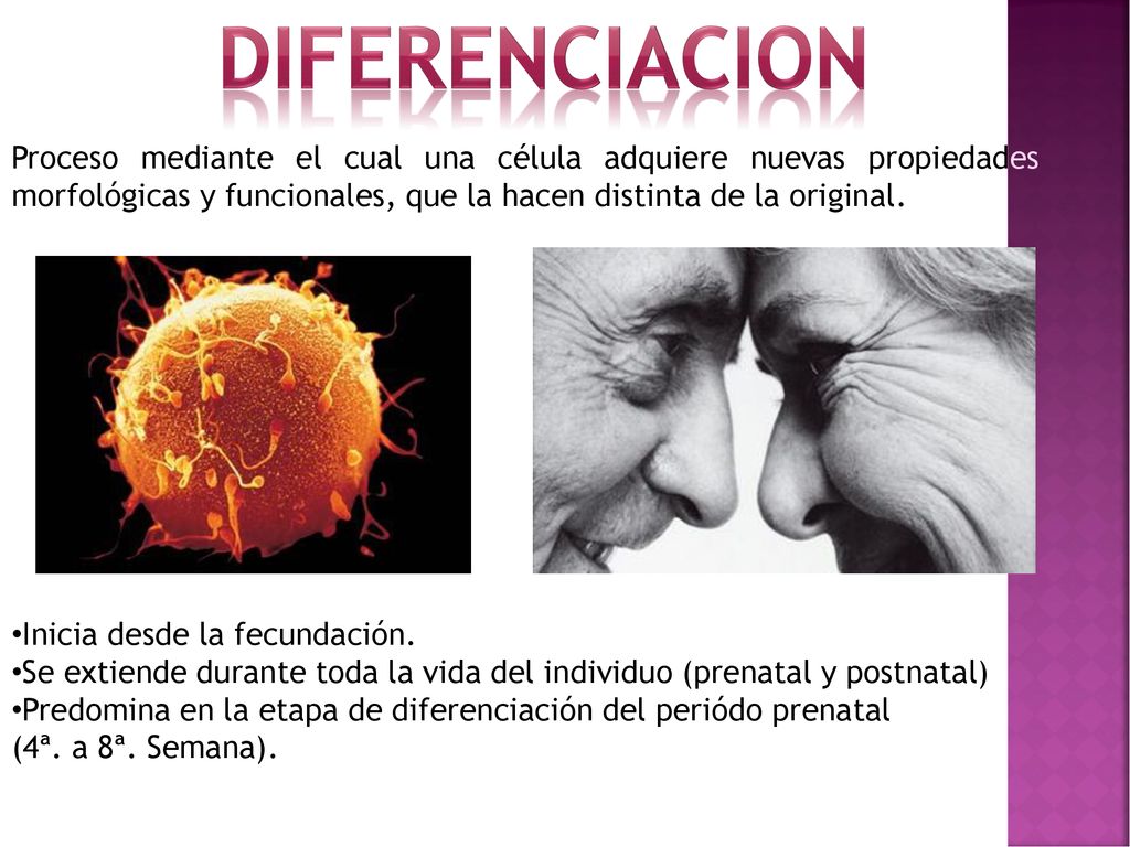 diferenciacion Proceso mediante el cual una célula adquiere nuevas propiedades morfológicas y funcionales, que la hacen distinta de la original.