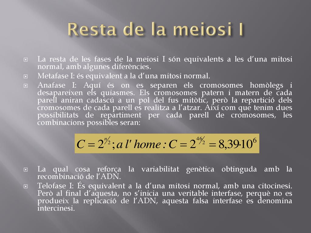 Resta de la meiosi I La resta de les fases de la meiosi I són equivalents a les d’una mitosi normal, amb algunes diferències.