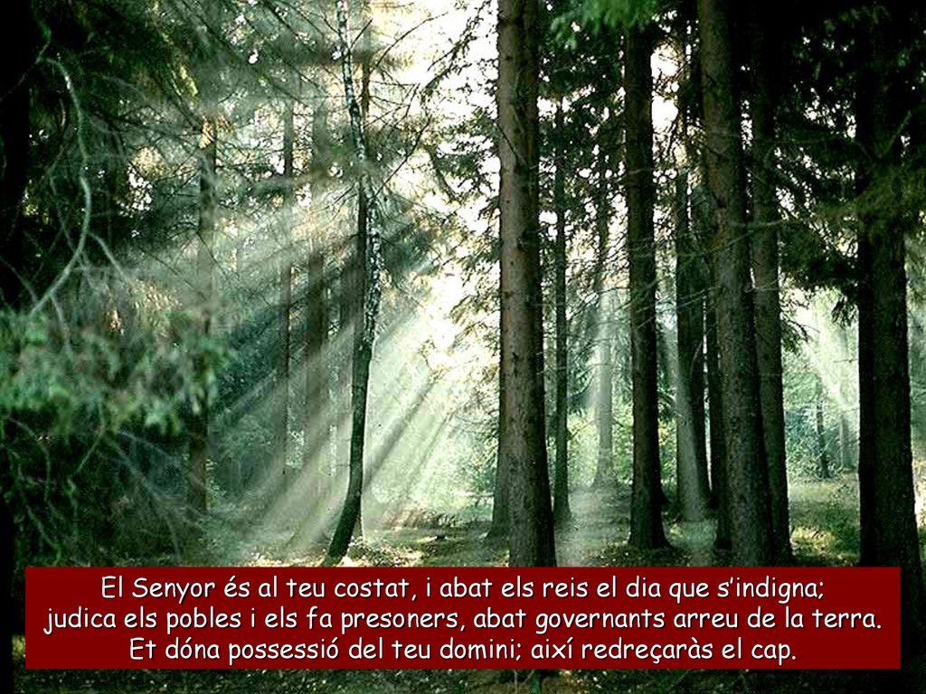 El Senyor és al teu costat, i abat els reis el dia que s’indigna;