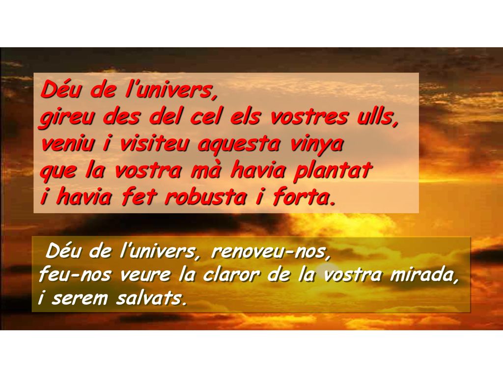 Déu de l’univers, gireu des del cel els vostres ulls, veniu i visiteu aquesta vinya que la vostra mà havia plantat i havia fet robusta i forta.