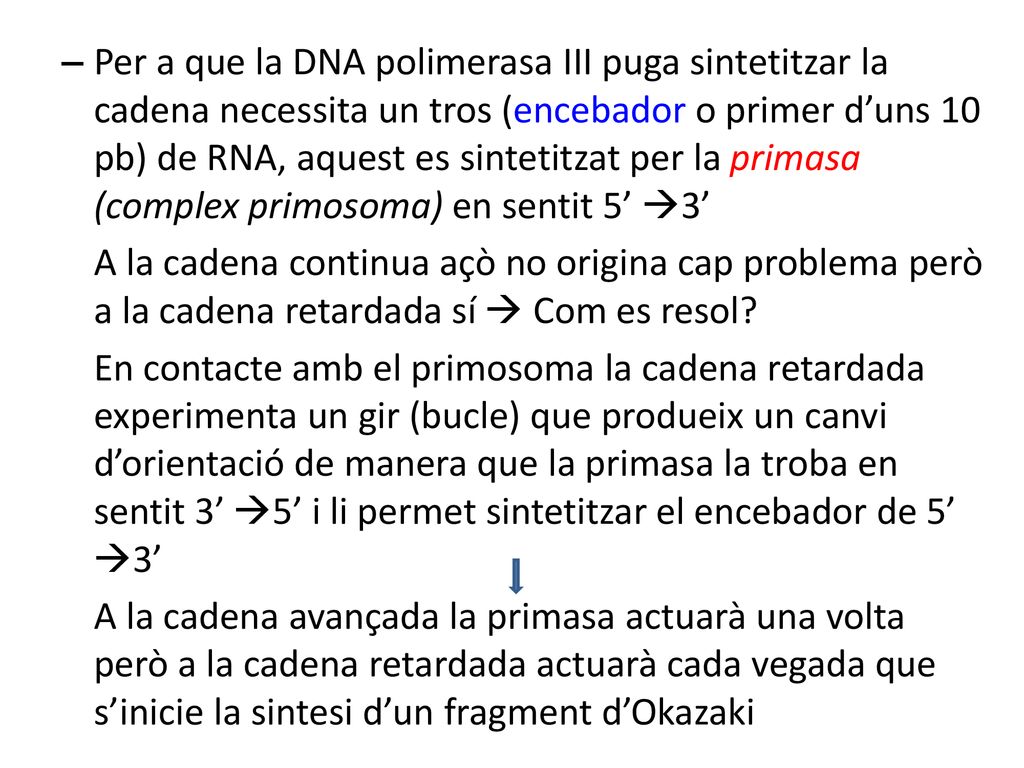 Per a que la DNA polimerasa III puga sintetitzar la cadena necessita un tros (encebador o primer d’uns 10 pb) de RNA, aquest es sintetitzat per la primasa (complex primosoma) en sentit 5’ 3’