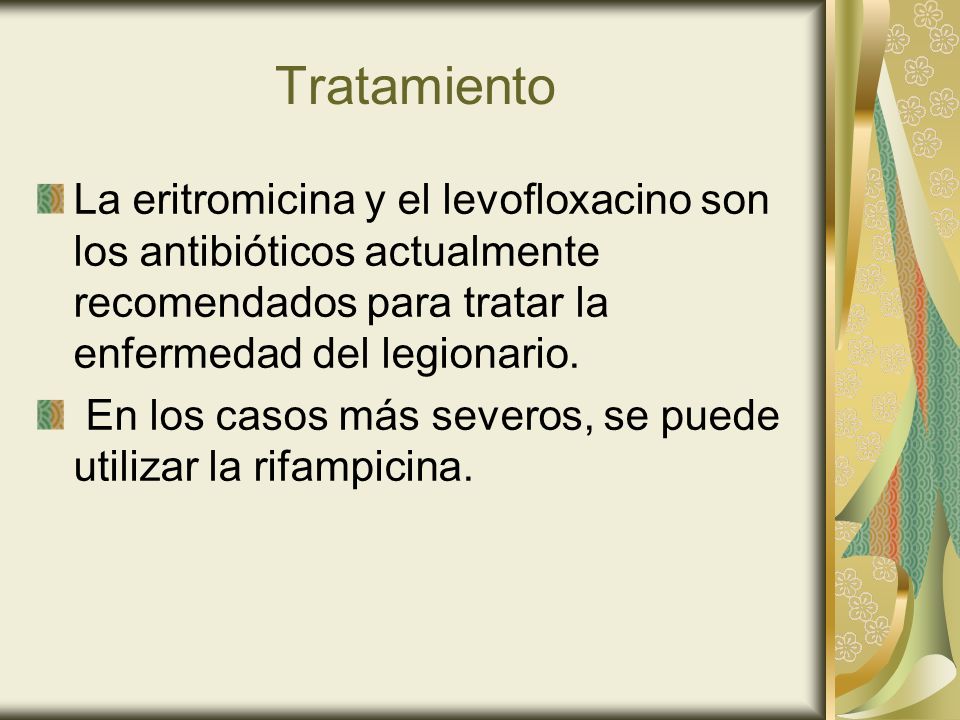 Tratamiento La eritromicina y el levofloxacino son los antibióticos actualmente recomendados para tratar la enfermedad del legionario.