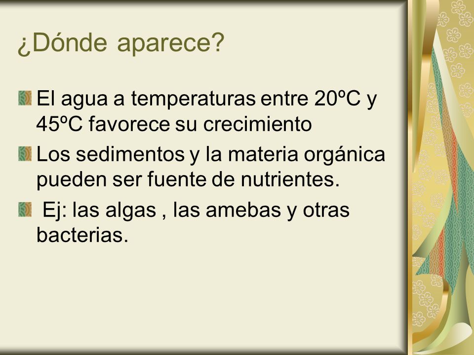 ¿Dónde aparece El agua a temperaturas entre 20ºC y 45ºC favorece su crecimiento.
