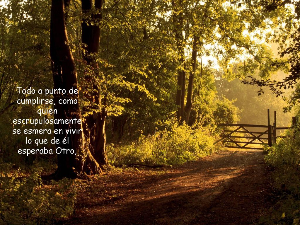Todo a punto de cumplirse, como quien escrupulosamente se esmera en vivir lo que de él esperaba Otro,