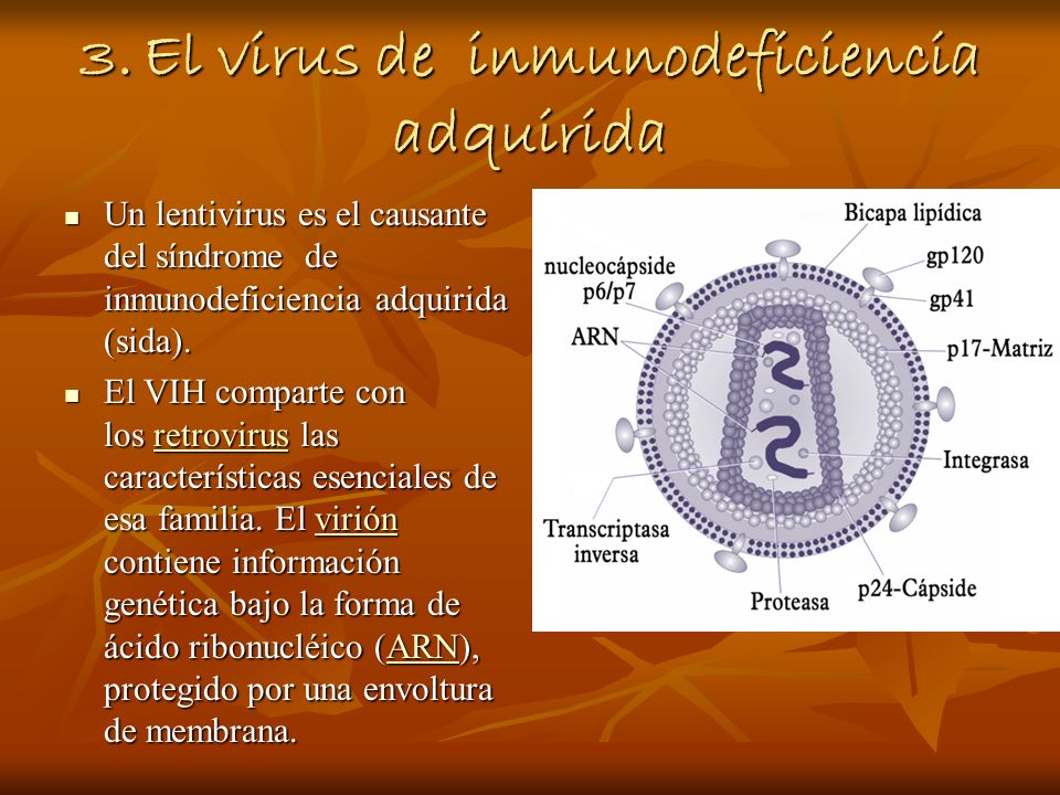 3. El virus de inmunodeficiencia adquirida