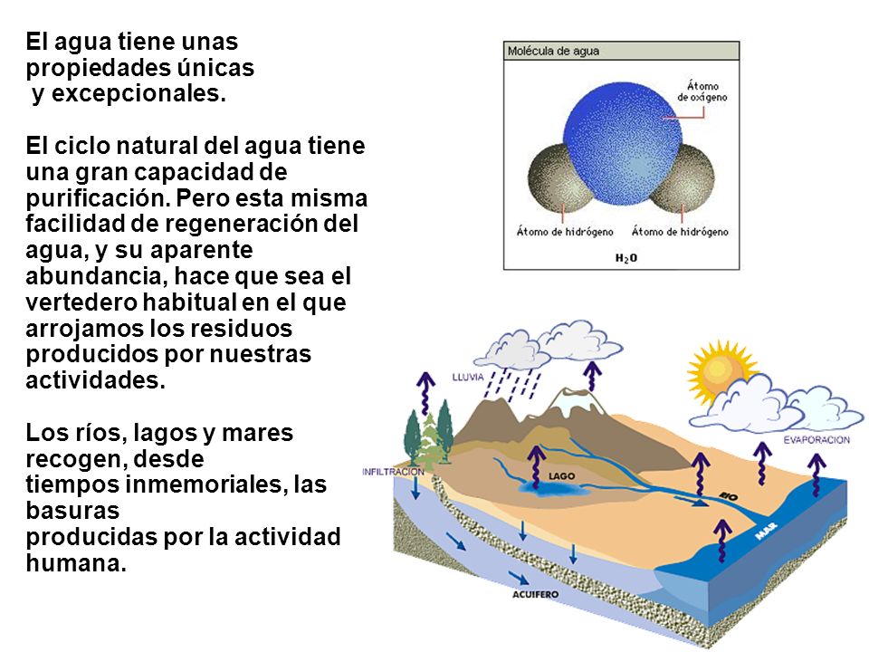 El agua tiene unas propiedades únicas