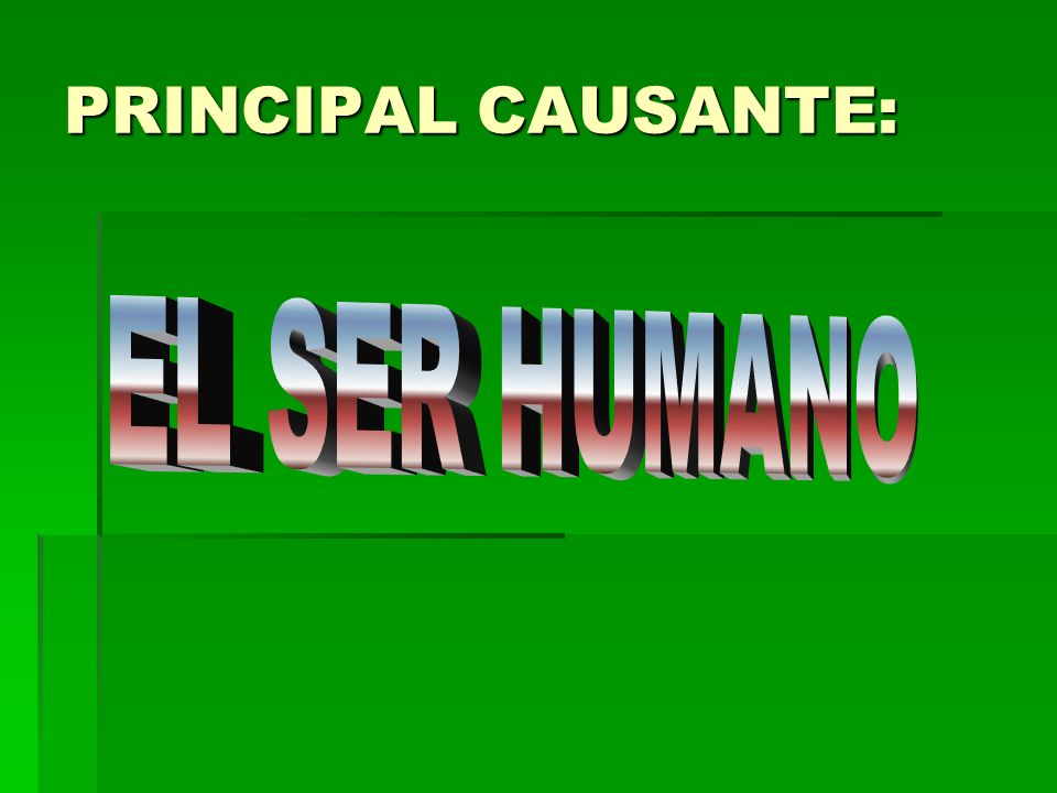 PRINCIPAL CAUSANTE: EL SER HUMANO