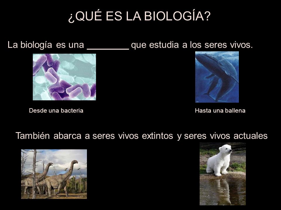 También abarca a seres vivos extintos y seres vivos actuales
