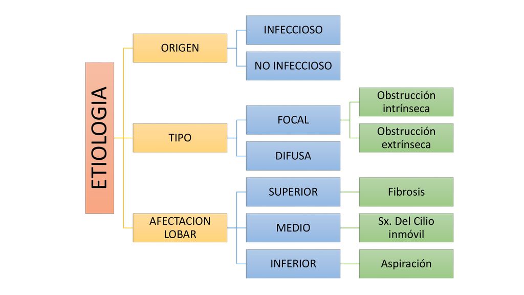 ETIOLOGIA ORIGEN INFECCIOSO NO INFECCIOSO TIPO FOCAL