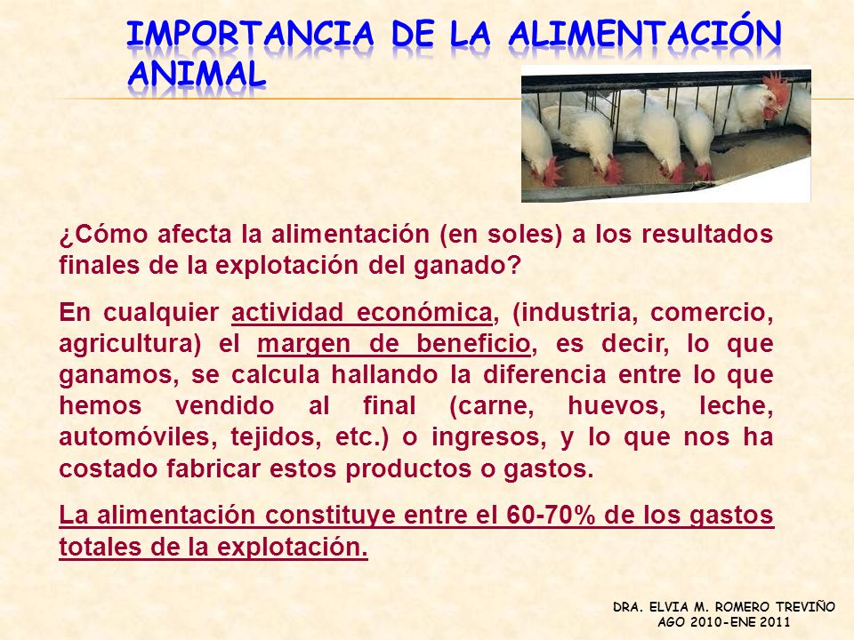 NUTRICION Y ALIMENTACION ANIMAL (MONOGASTRICOS) - ppt descargar NUTRICION Y ALIMENTACION ANIMAL (MONOGASTRICOS) - ppt descargar