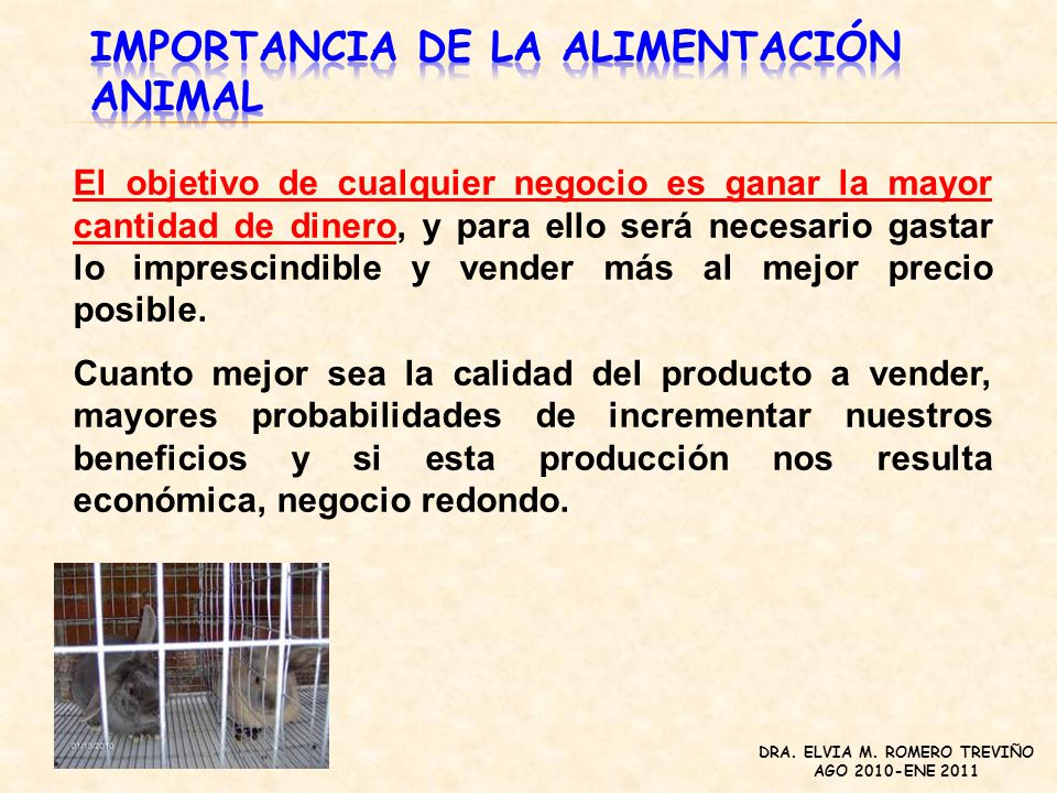 NUTRICION Y ALIMENTACION ANIMAL (MONOGASTRICOS) - ppt descargar NUTRICION Y ALIMENTACION ANIMAL (MONOGASTRICOS) - ppt descargar