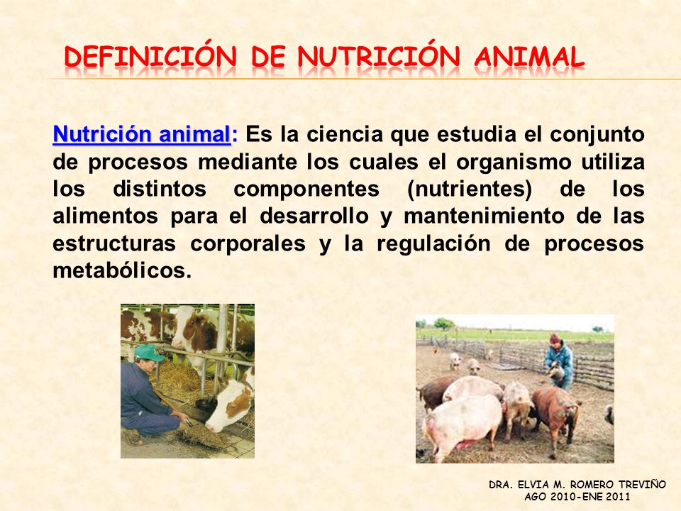 NUTRICION Y ALIMENTACION ANIMAL (MONOGASTRICOS) - ppt descargar