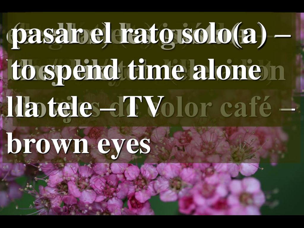 el pelo castaño – brown hair. los ojos de color café – brown eyes. (a ellos) les gusta(n) – they like.