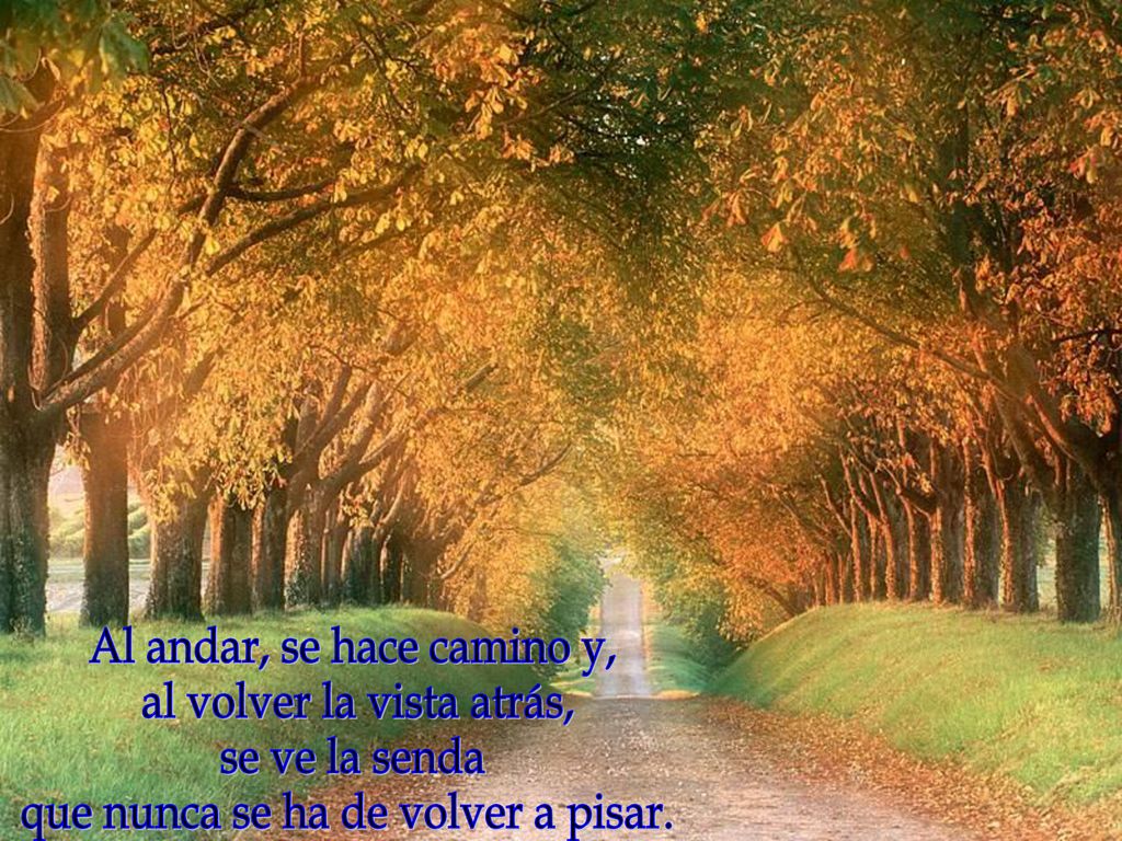 Al andar, se hace camino y, al volver la vista atrás, se ve la senda